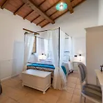 - La Campagna Di San Francesco Assisi