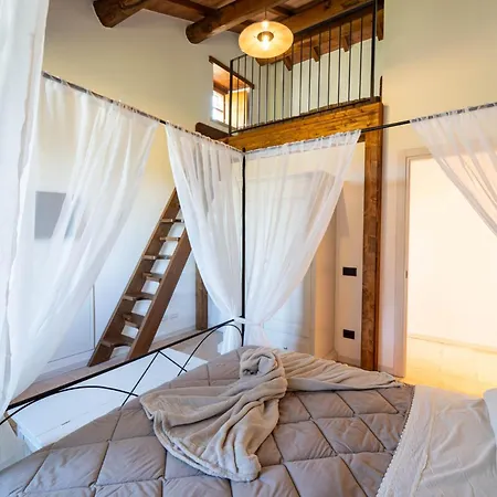 - La Campagna Di San Francesco