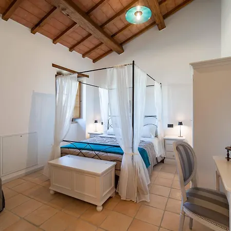 - La Campagna Di San Francesco Assisi