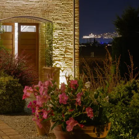 - La Campagna Di San Francesco * Assisi