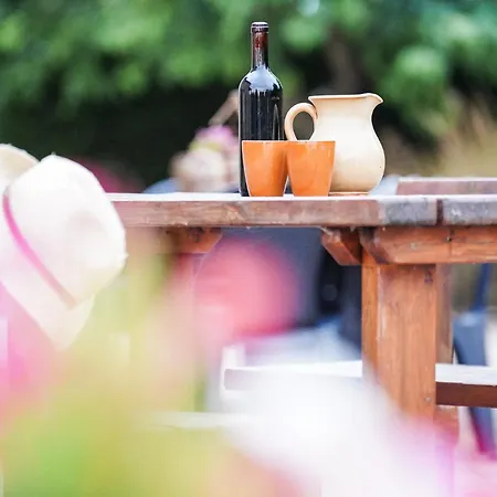 - La Campagna Di San Francesco * Assisi