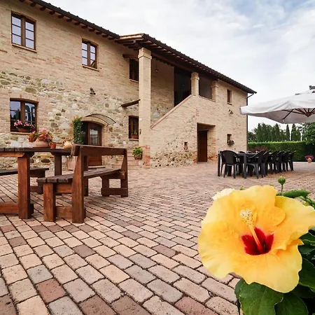 - La Campagna Di San Francesco * 아시시