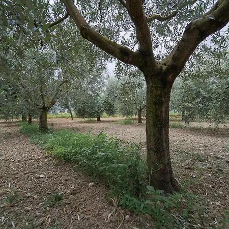 - La Campagna Di San Francesco Farm stay *