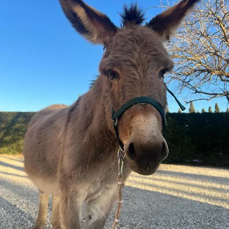 - La Campagna Di San Francesco Farm stay *