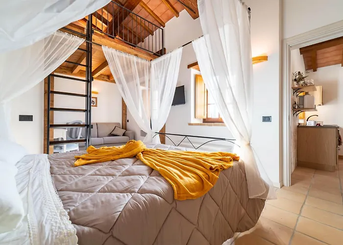 - La Campagna Di San Francesco *