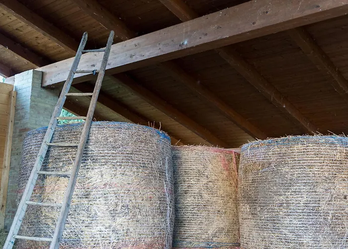 팜스테이 - La Campagna Di San Francesco 아시시