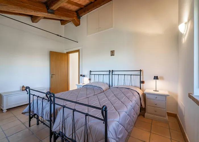 - La Campagna Di San Francesco * Assisi