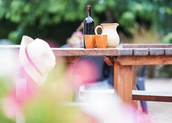 - La Campagna Di San Francesco * 아시시