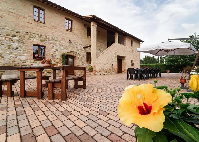 - La Campagna Di San Francesco * Assisi
