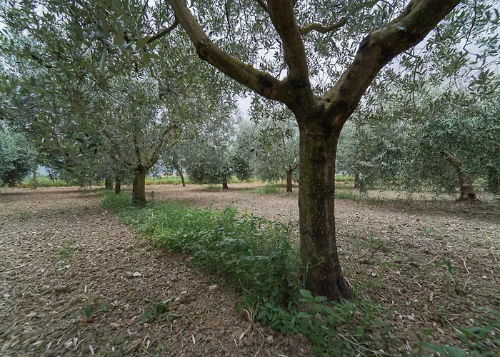 - La Campagna Di San Francesco Farm stay *