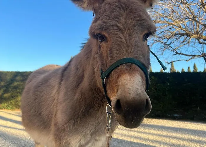 - La Campagna Di San Francesco Alojamento de Turismo Rural *