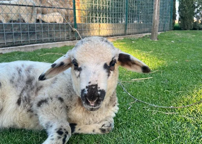 Alojamento de Turismo Rural - La Campagna Di San Francesco *